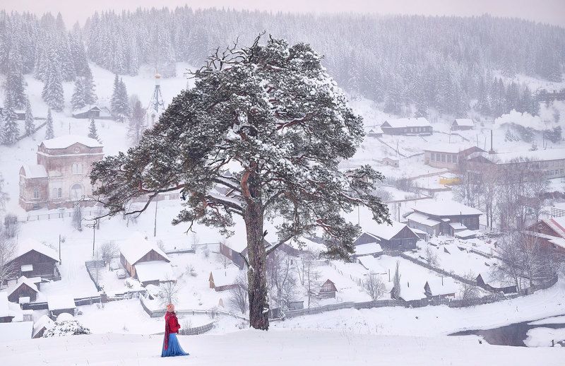 пермский край, кын, пейзаж Зимний Кын фото превью