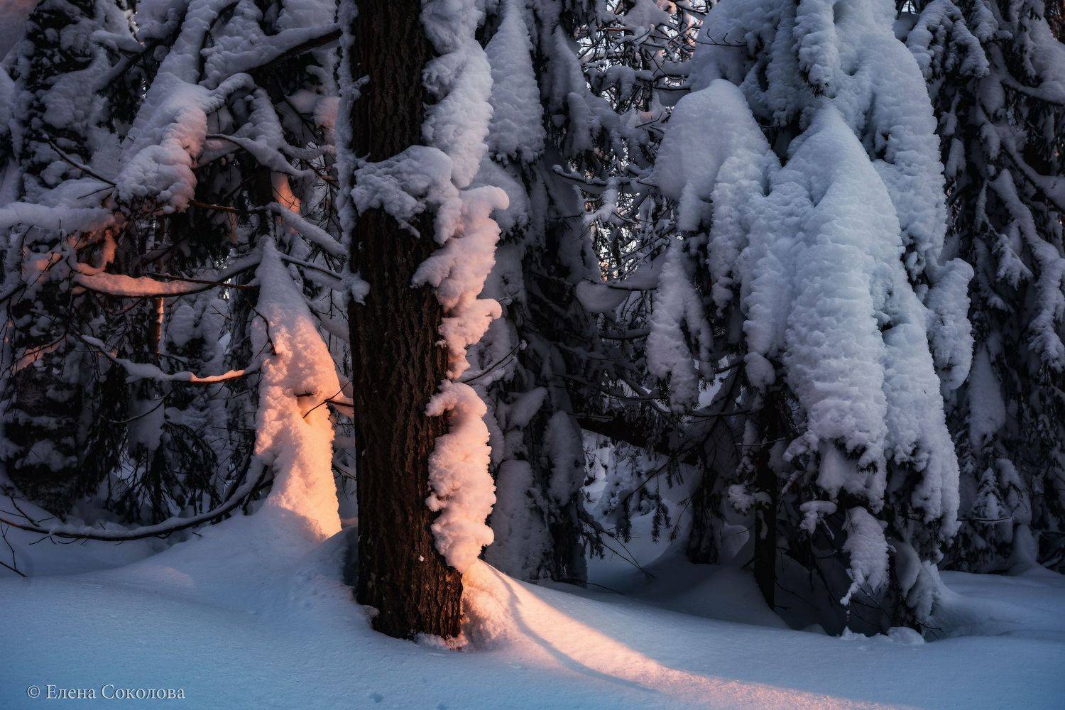 ветлан, северный урал, закат, зимний пейзаж, морозный вечер, Елена Соколова