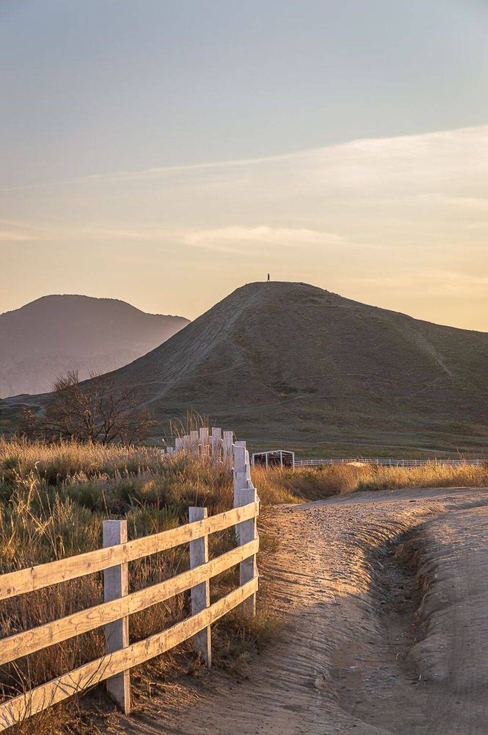 , Алексей Шуплецов