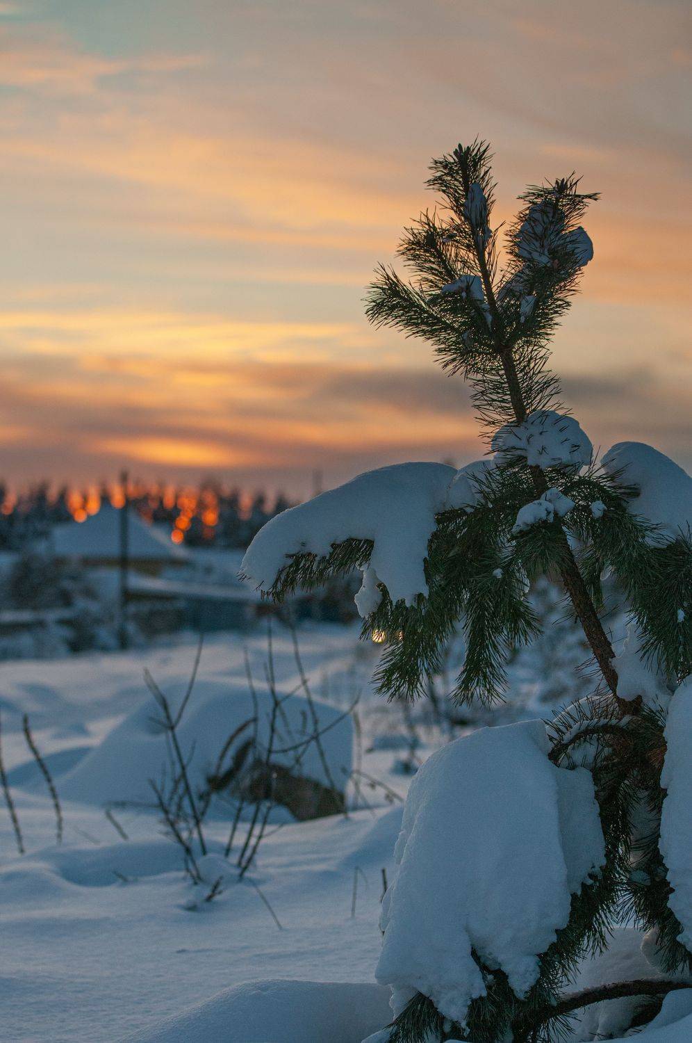 , Зуйкова Динара