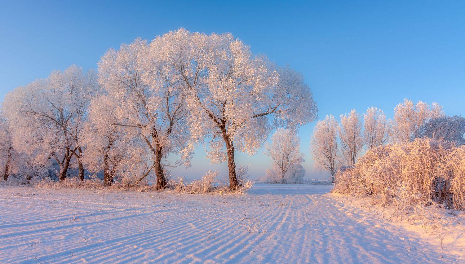 Winter 2021  landscape  nature  snow  frost  river  Gwda  sky  - 19 degrees  light  trees  Photography  Beauty In Nature  Cold Temperature  Ice, Krzysztof Tollas