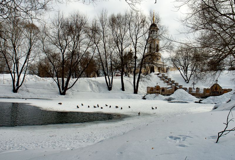 Зима у родника фото превью