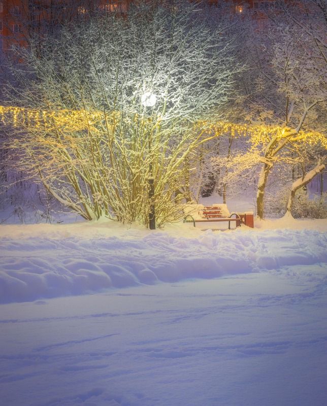 красногорск Зимкий парк III фото превью