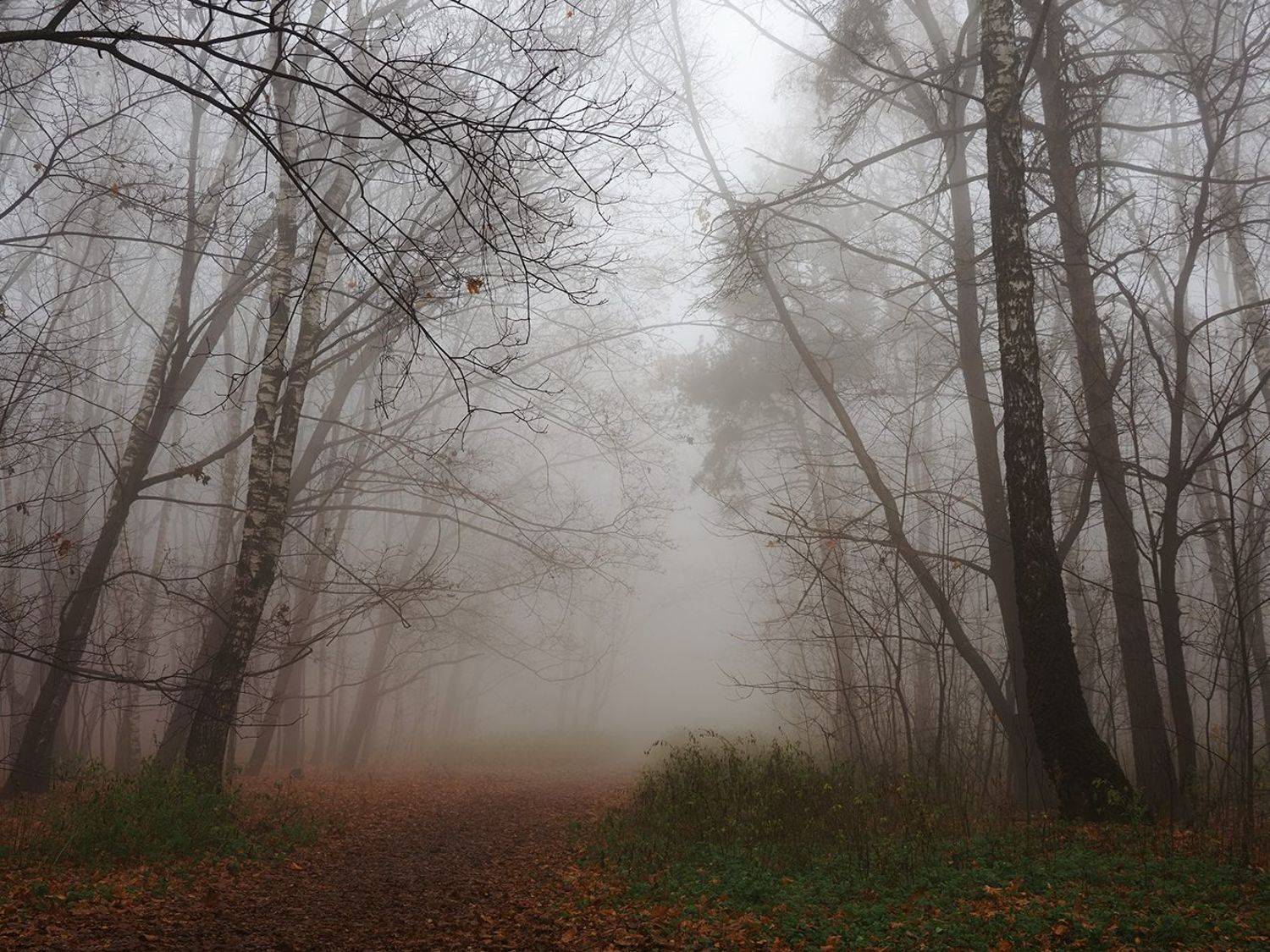 , Сергей Духанин
