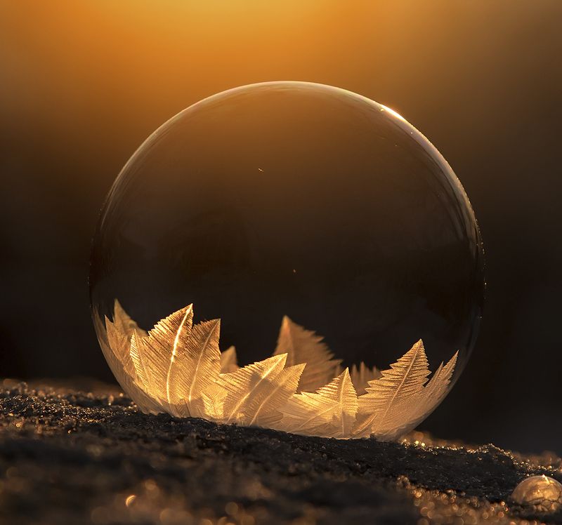 Winter фото превью