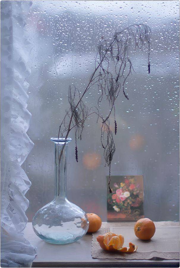 , Stein Georg