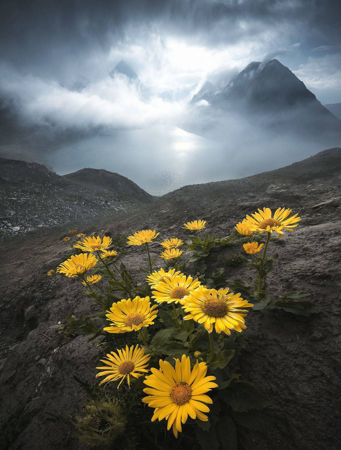 , Roksolyana Hilevych