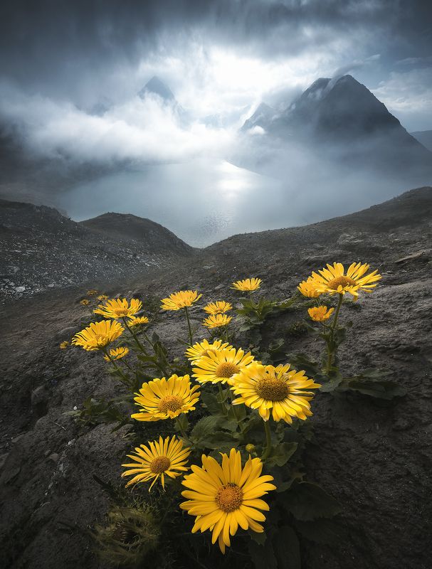 Changes фото превью