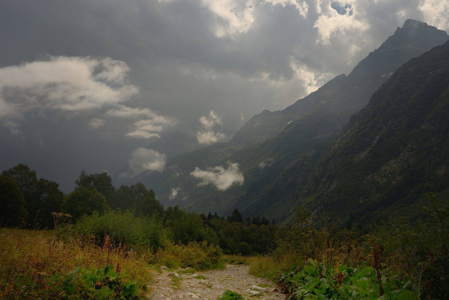 горы осень алибек, Александр Жарников