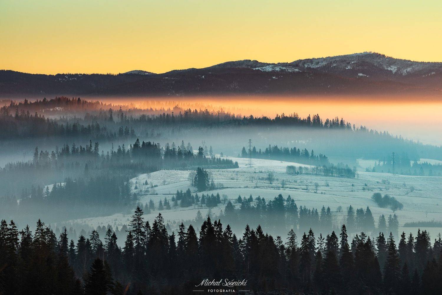 #tree #laser #fog #foggy #wood #nature #amazing #earth #pics #photo #best #poland, Michał Sośnicki