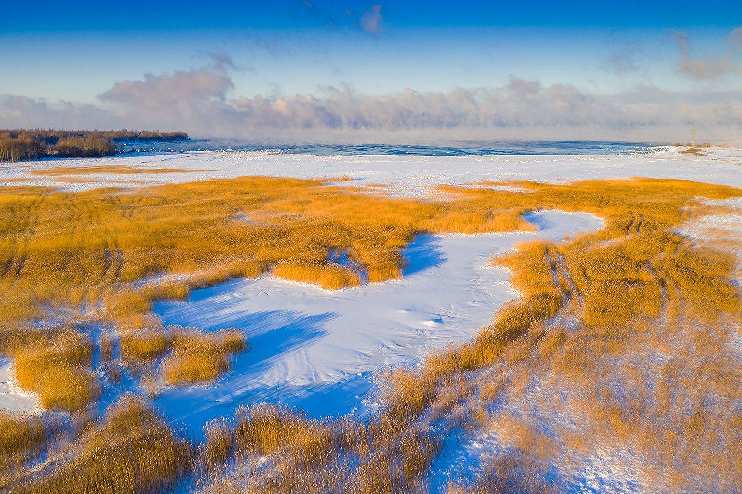 , Александр Абросимов