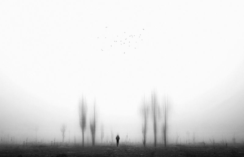 Alone IN The Fog фото превью