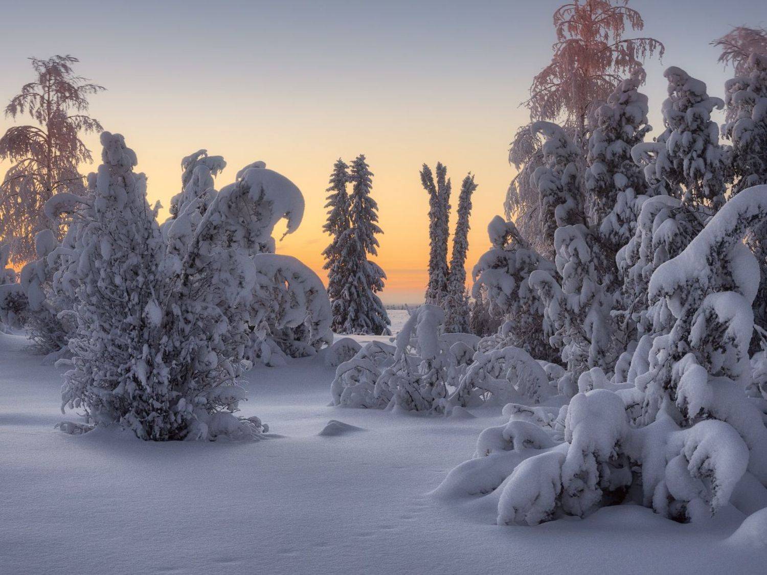 зима, мороз, Дмитрий Медянцев