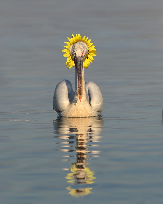 екстравагантний стиль фото превью