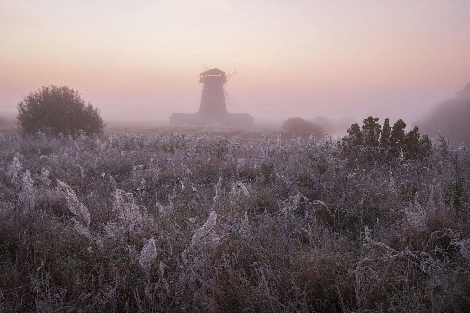 , Светлана Краюшкина
