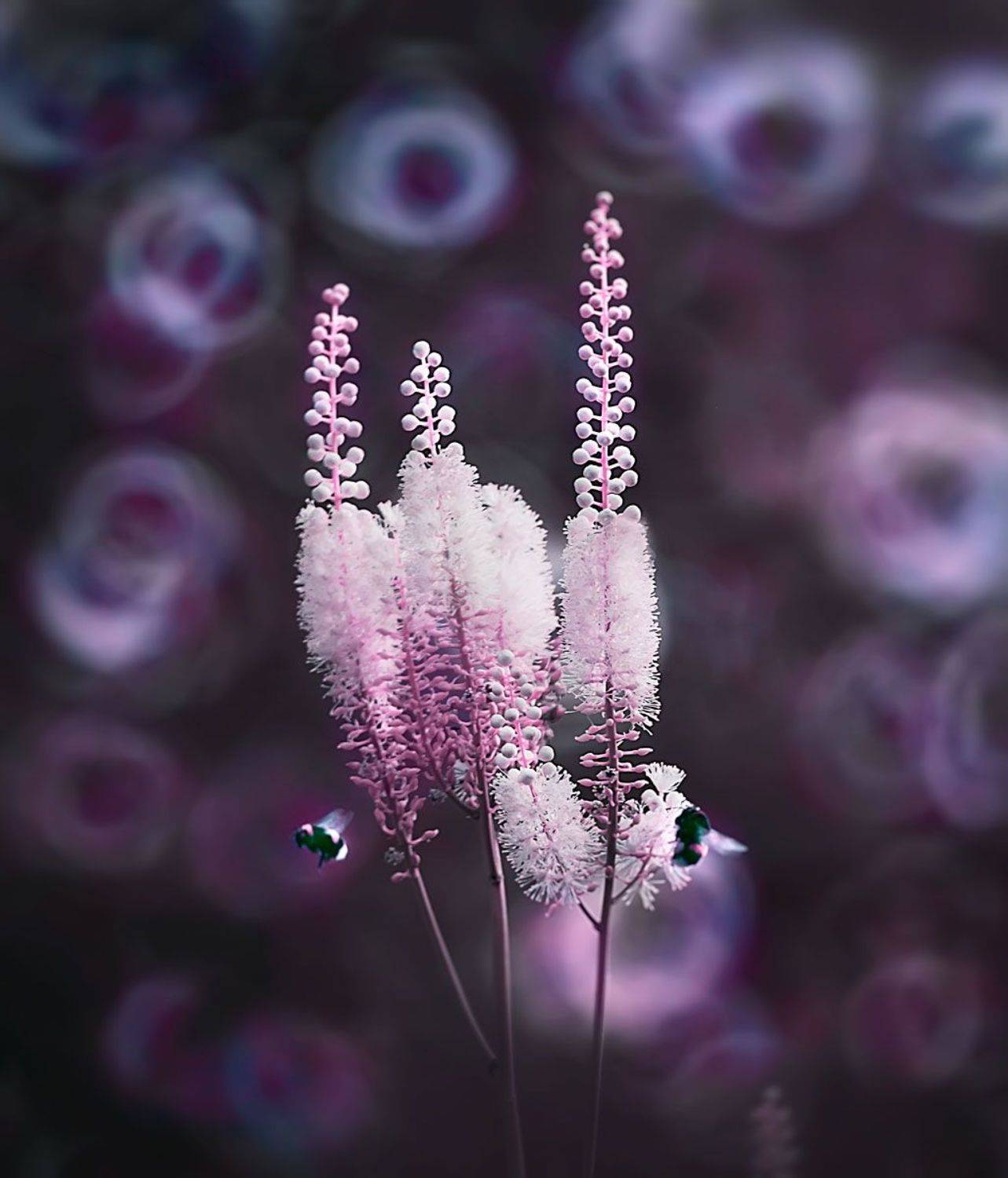 шмель, макро, макросъёмка, макрофотографии, nature, природа, Полина Васеева