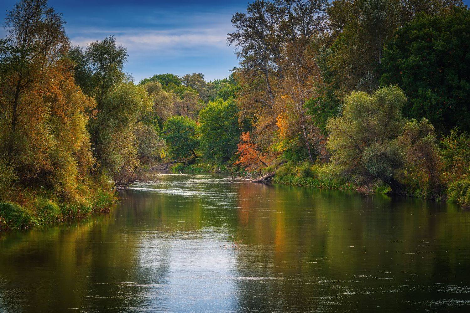 пейзажи река ручей лес спокойствие вода природа Россия путешествия небо осень тишина спокойствие, Андрей Ожерельев