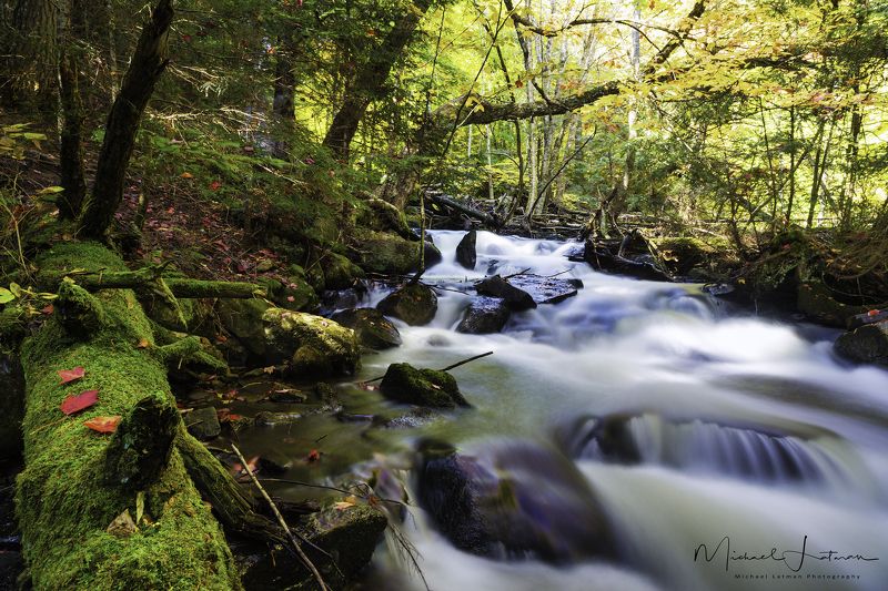 Autumn stream фото превью