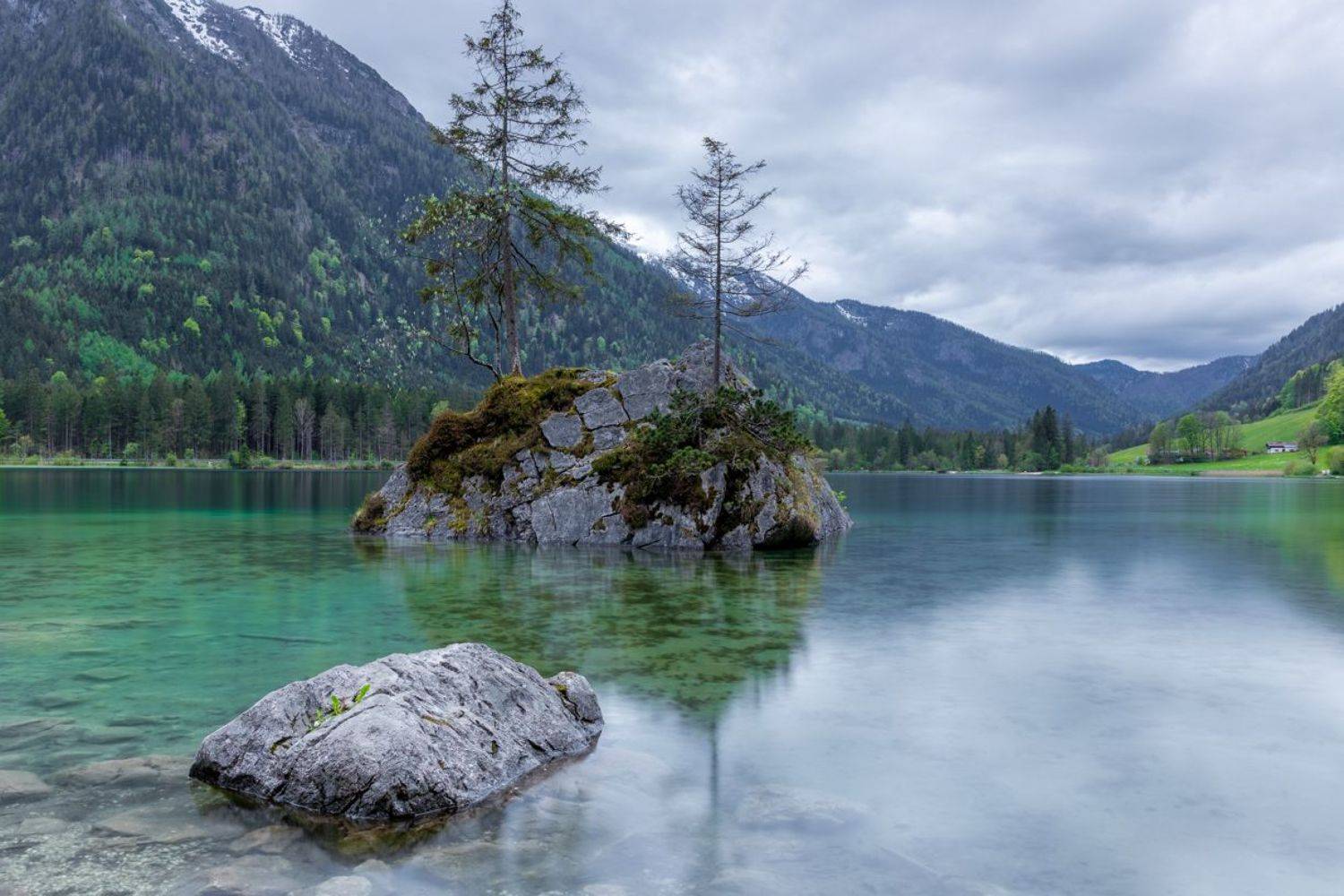 , Евгения Чех