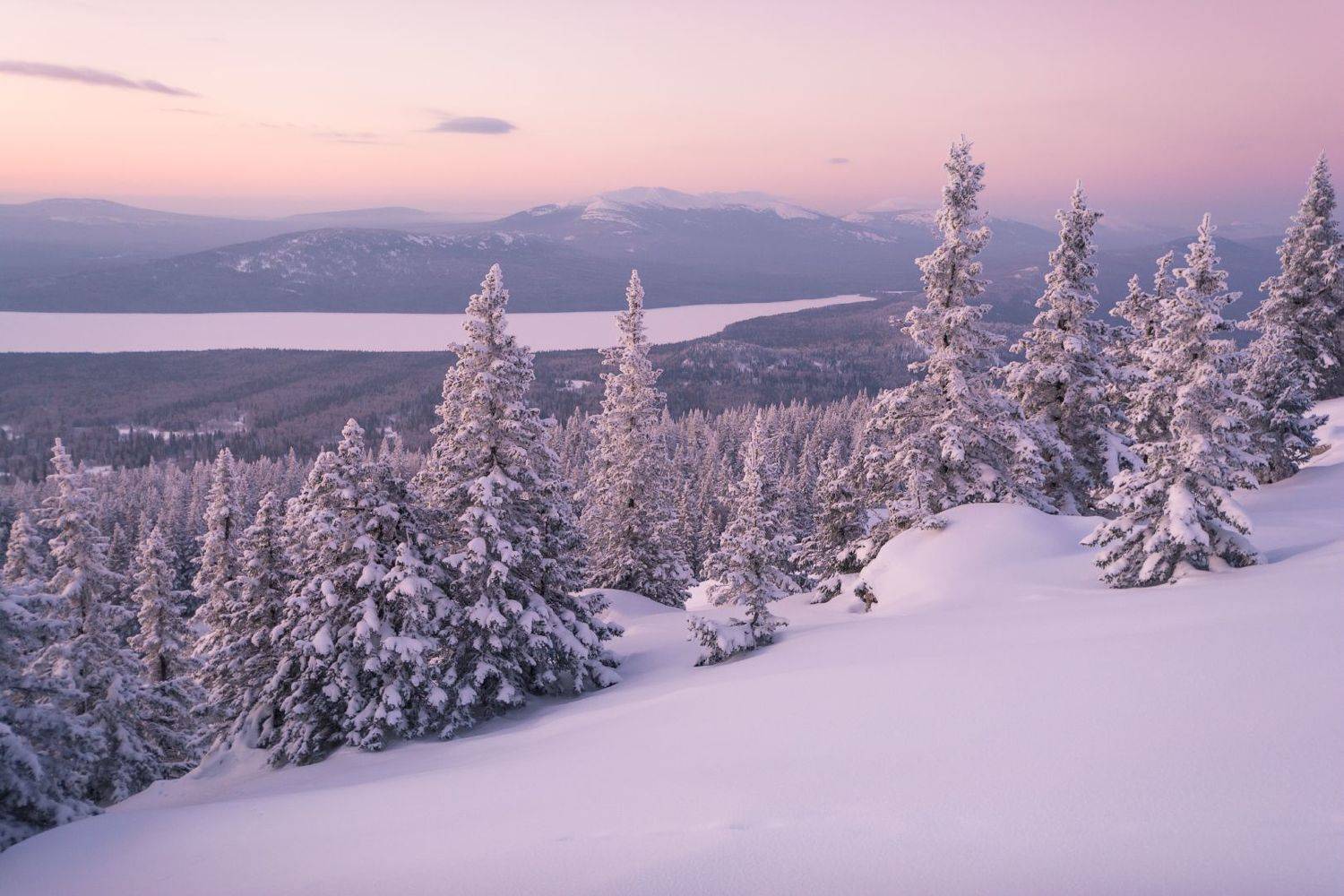 , Алексей Проняхин