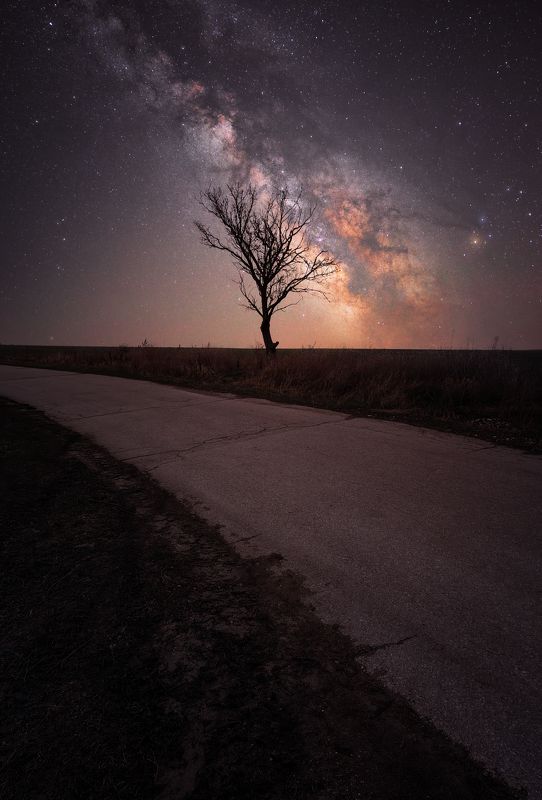 Witness фото превью