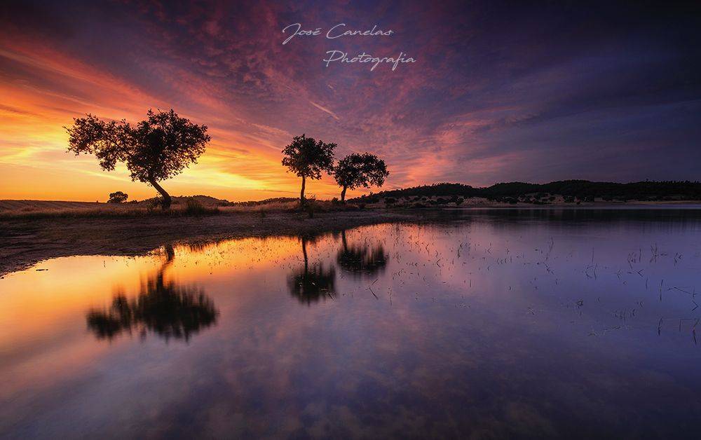 JoseCphotogragpy;, Jose Canelas