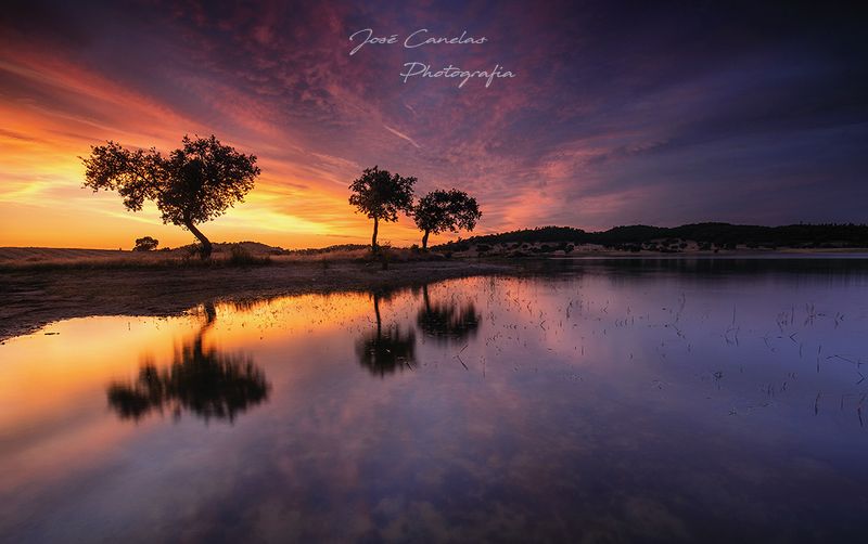 JoseCphotogragpy; 3 sisters фото превью