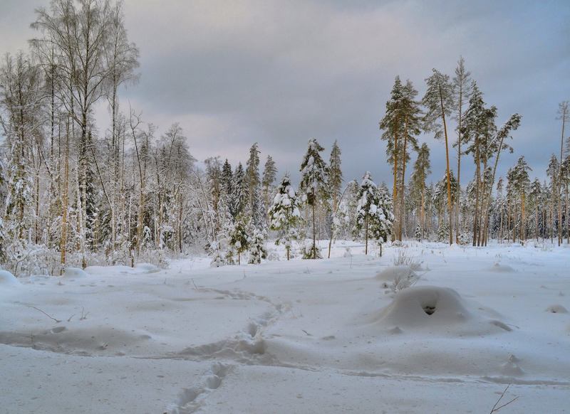 фото превью