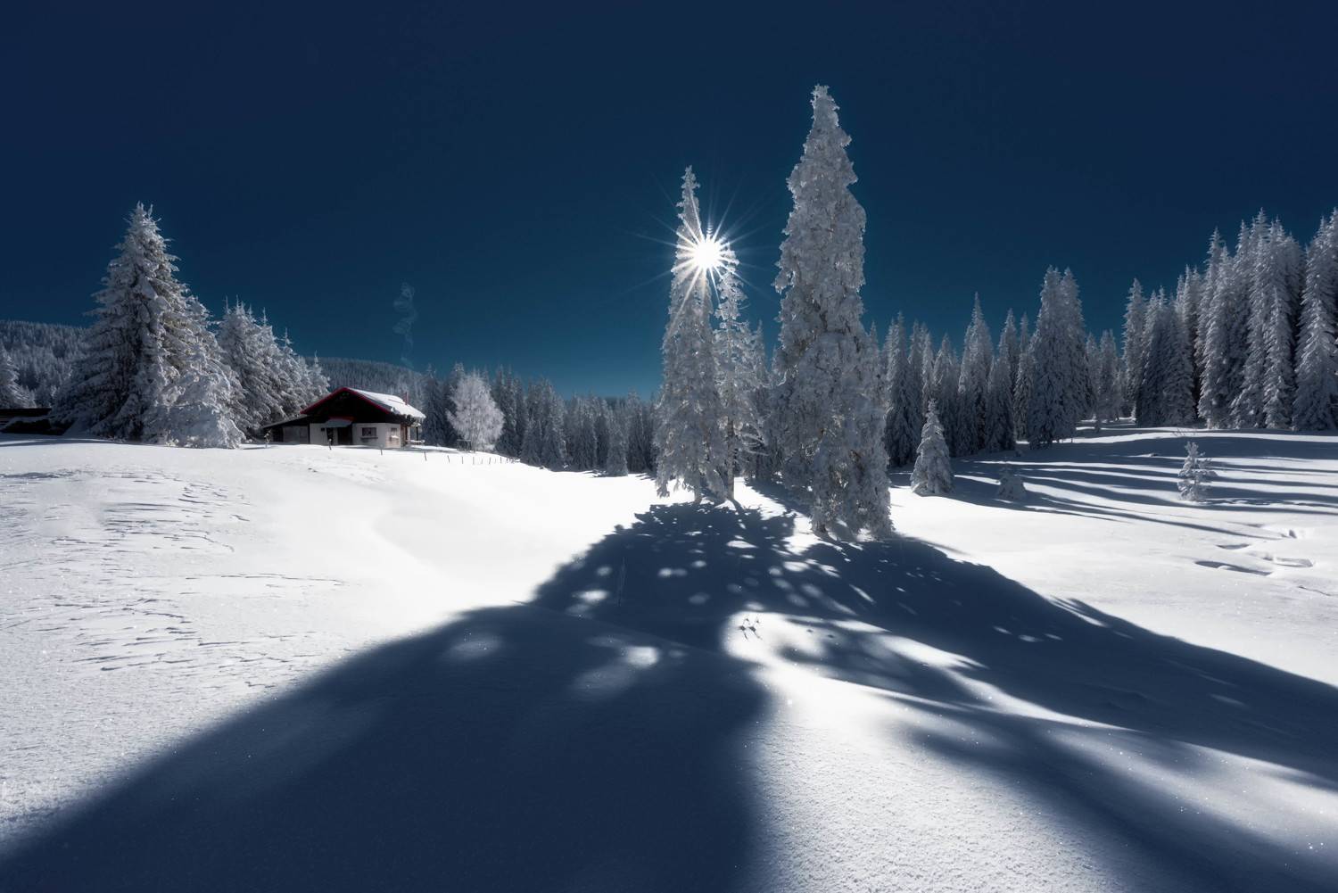 #landscape#nature#winter, Dimo Hristev