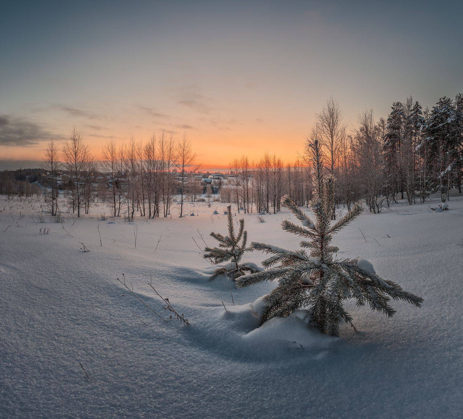 , Николай Андреев