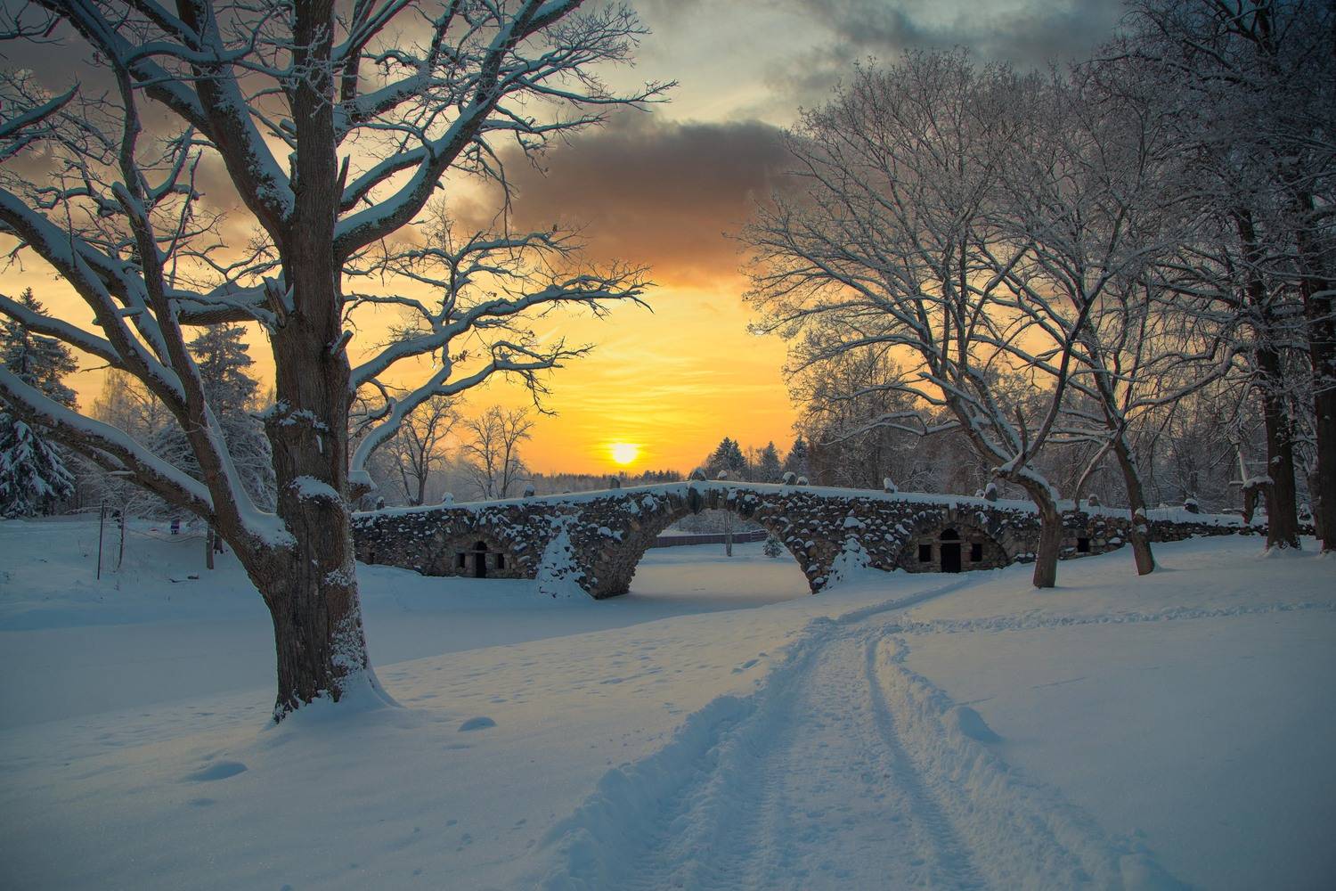 тверская, Львов, чертовмост, Ирина Ларина