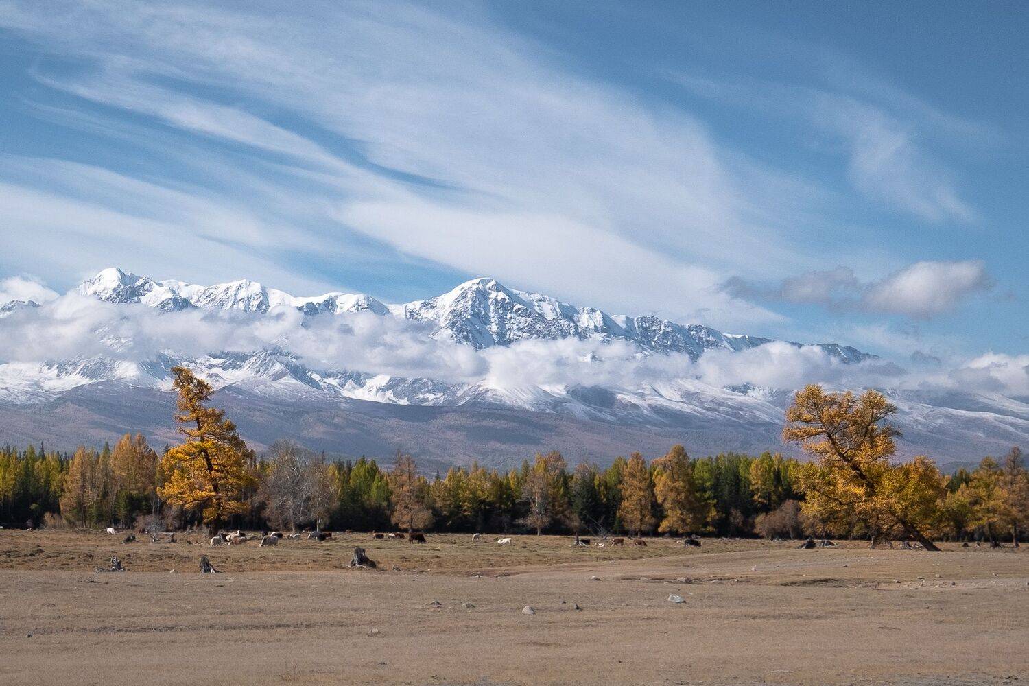 Алтай, Курайская степь, Вадим Коротеев
