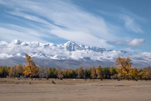 Утренняя зарядка