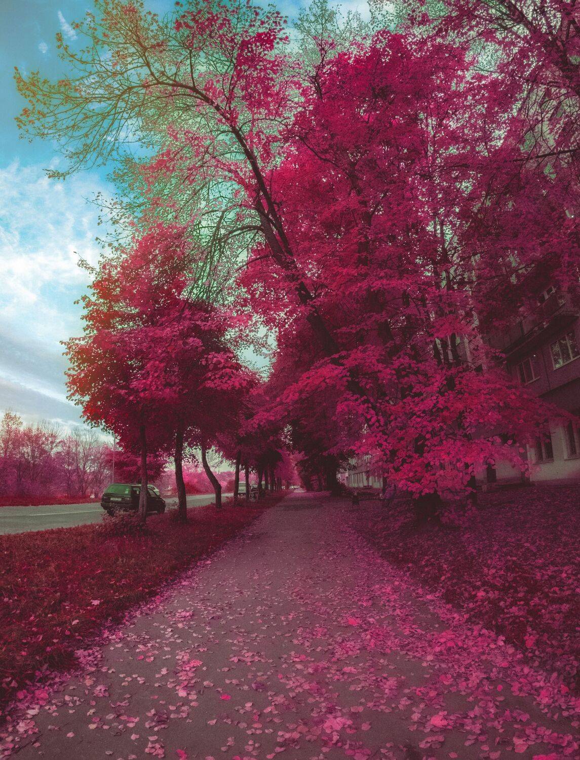 Аэрофото пейзаж город креативное необычное дрон река небо интересное профессиональное облака лето , Sergey Shevtsov