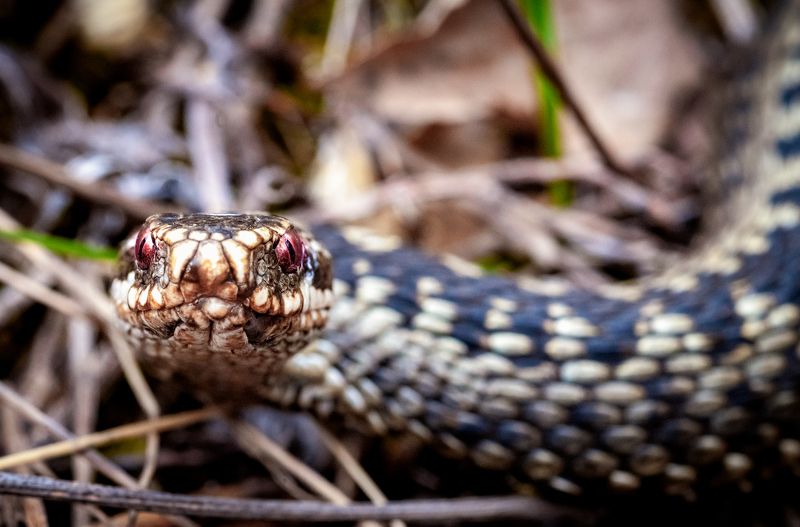 Встреча фото превью