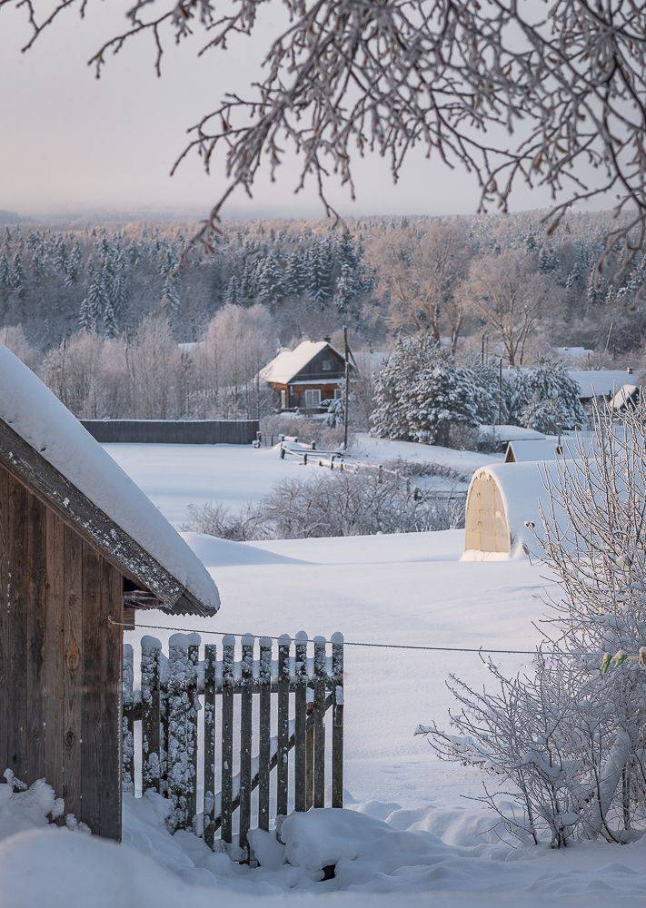 , Алексей Шуплецов