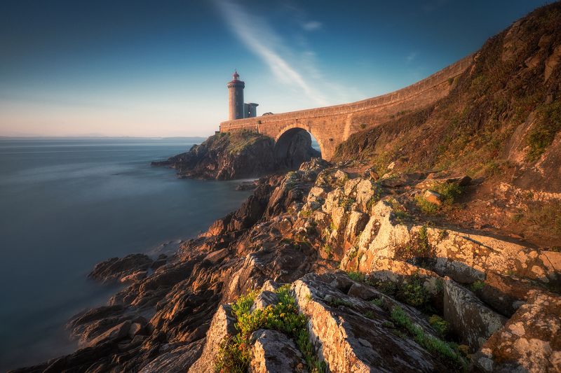 GOLDEN MORNING фото превью