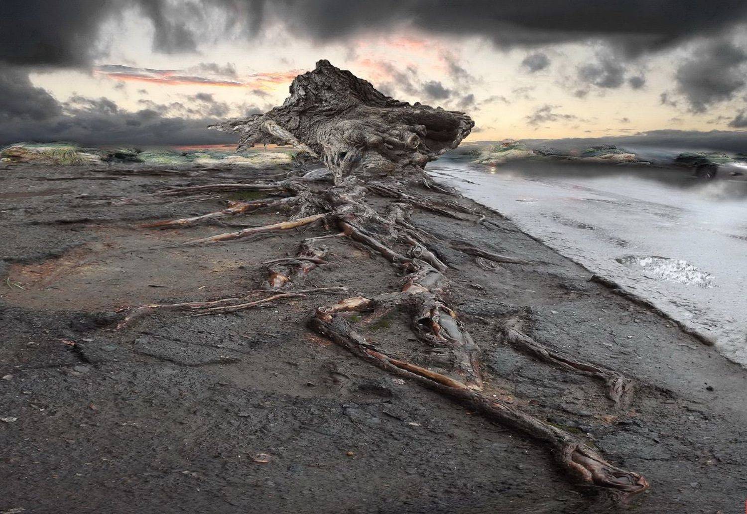 одесса, Сергей Кошелев