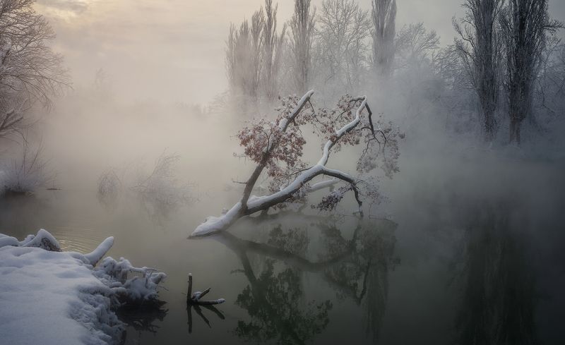 Зимнеее утро фото превью
