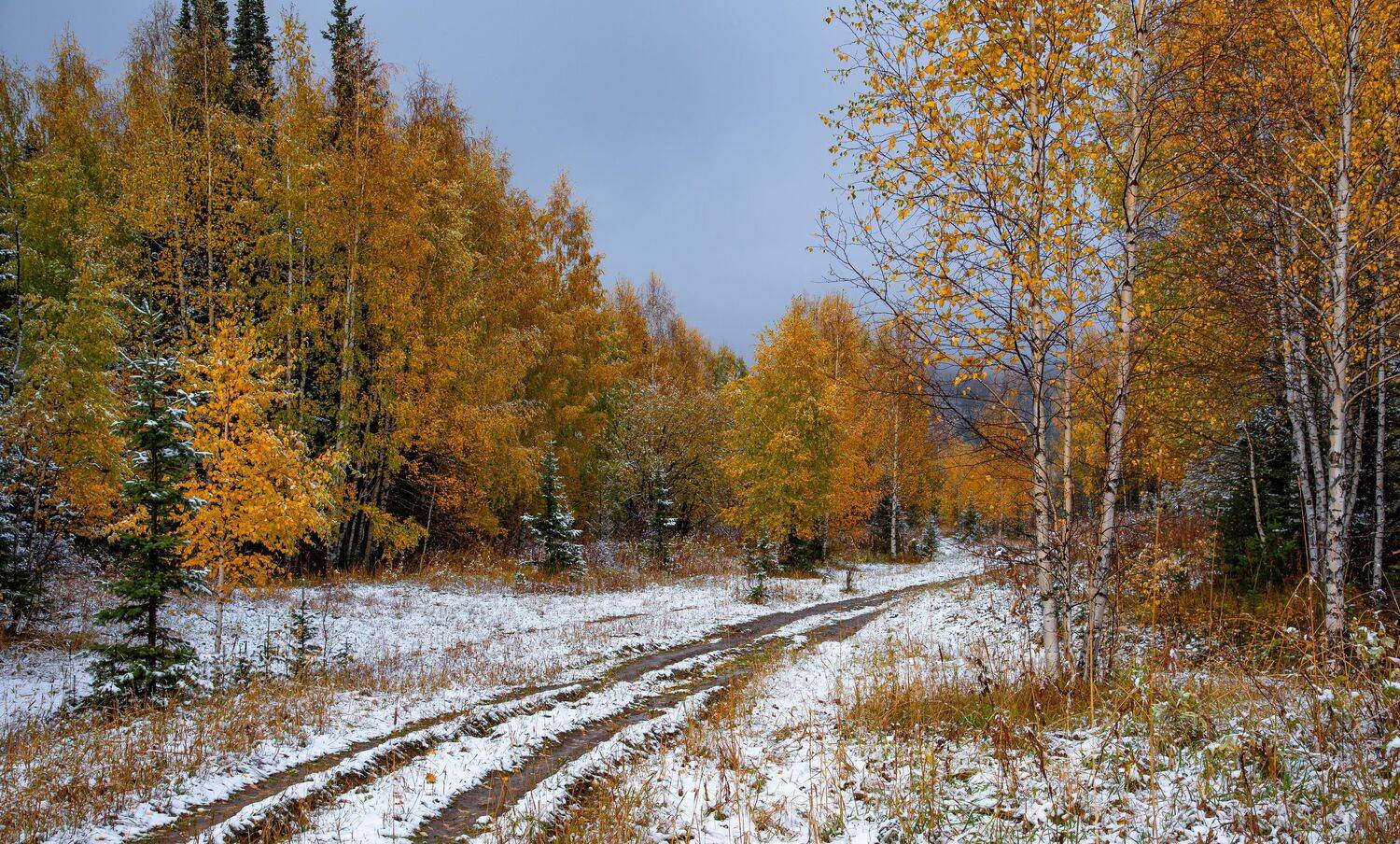алтай. осень. горы., Евгений Дроботенко