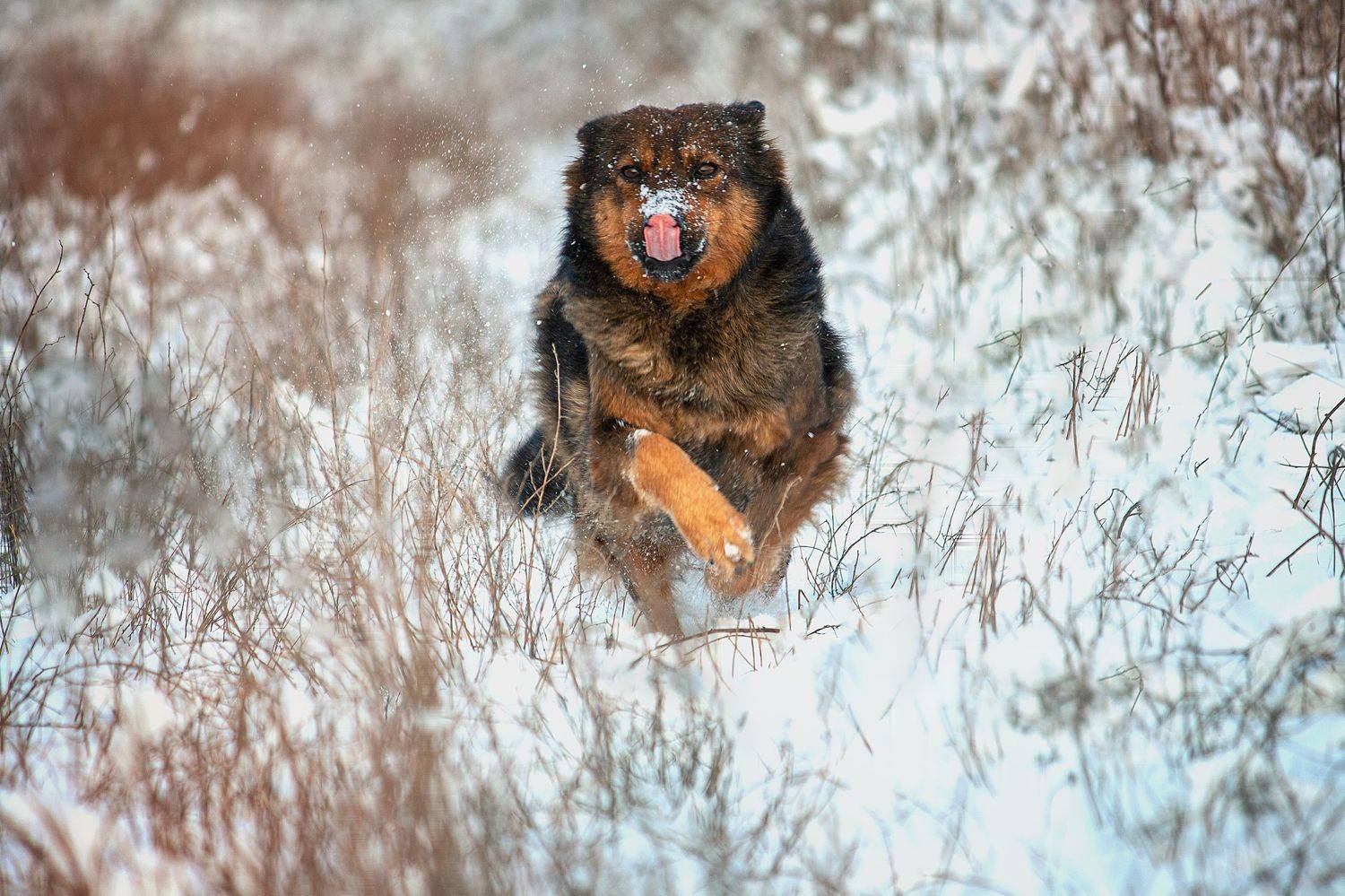 , Алёна Данильчук