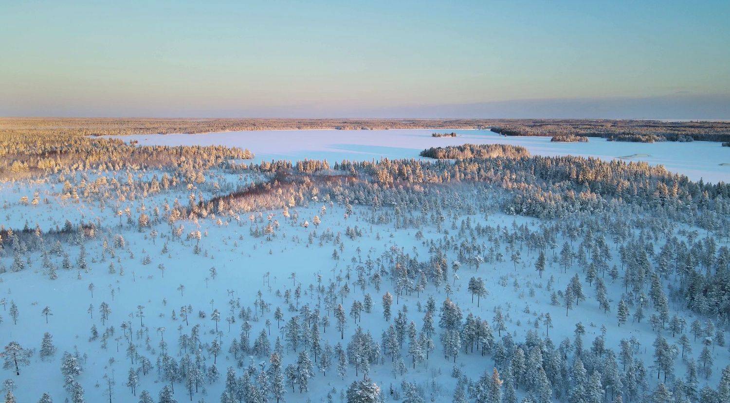 , Александр Коротков