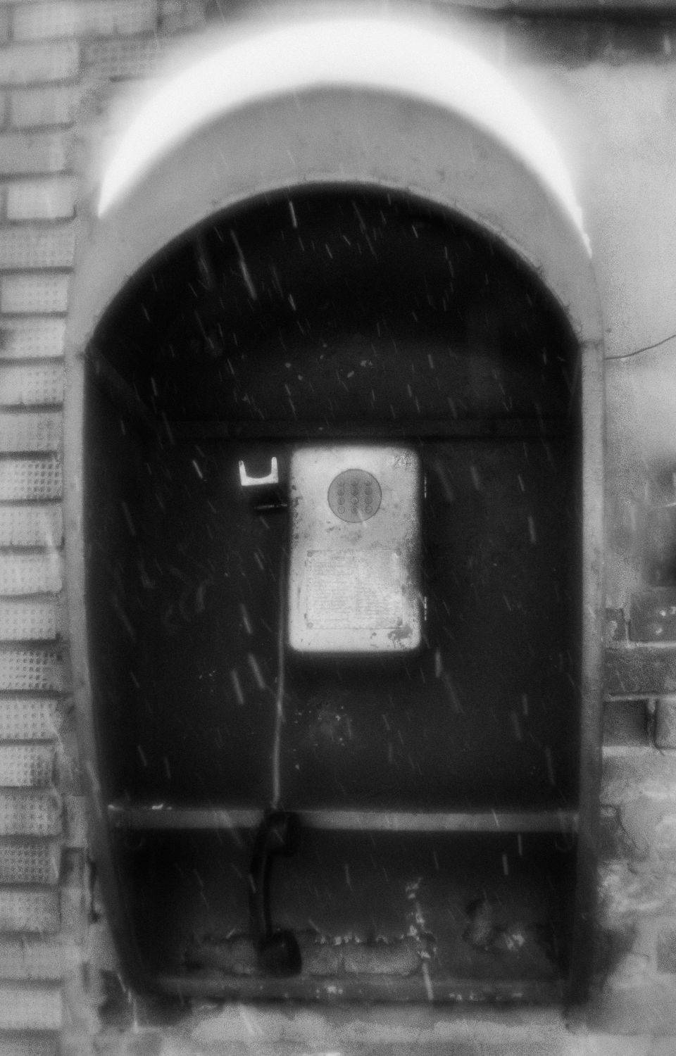 , Лариса Лофицкая