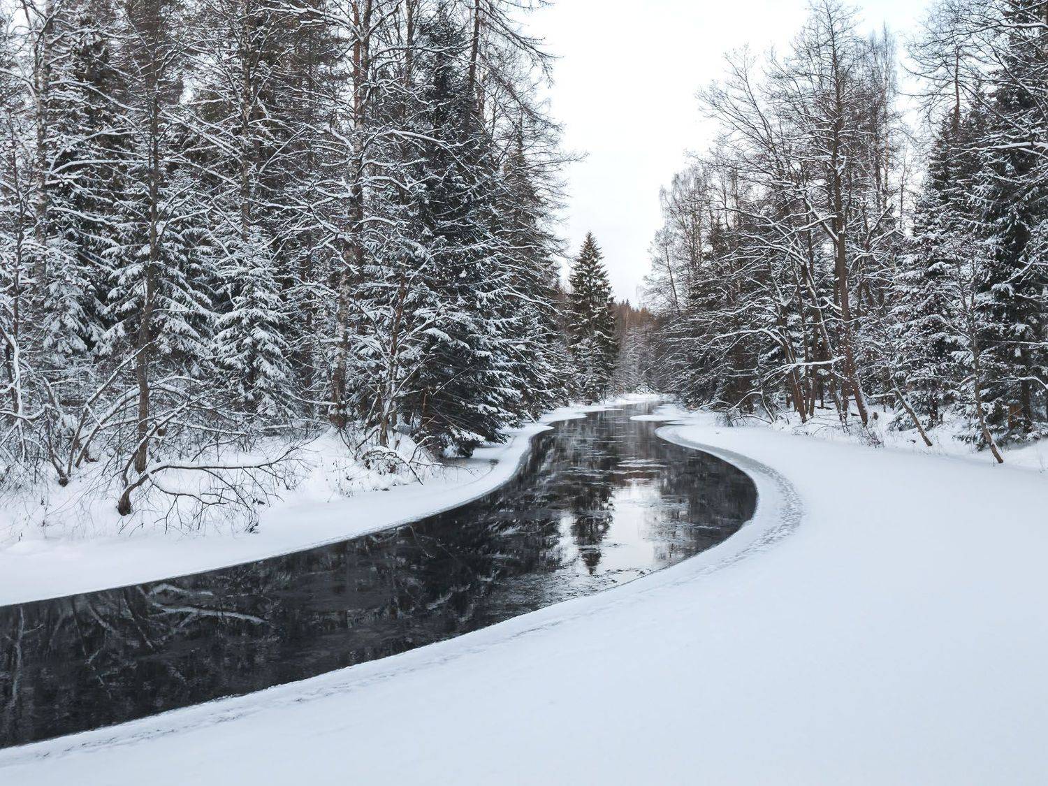 , Алексей Герасимов