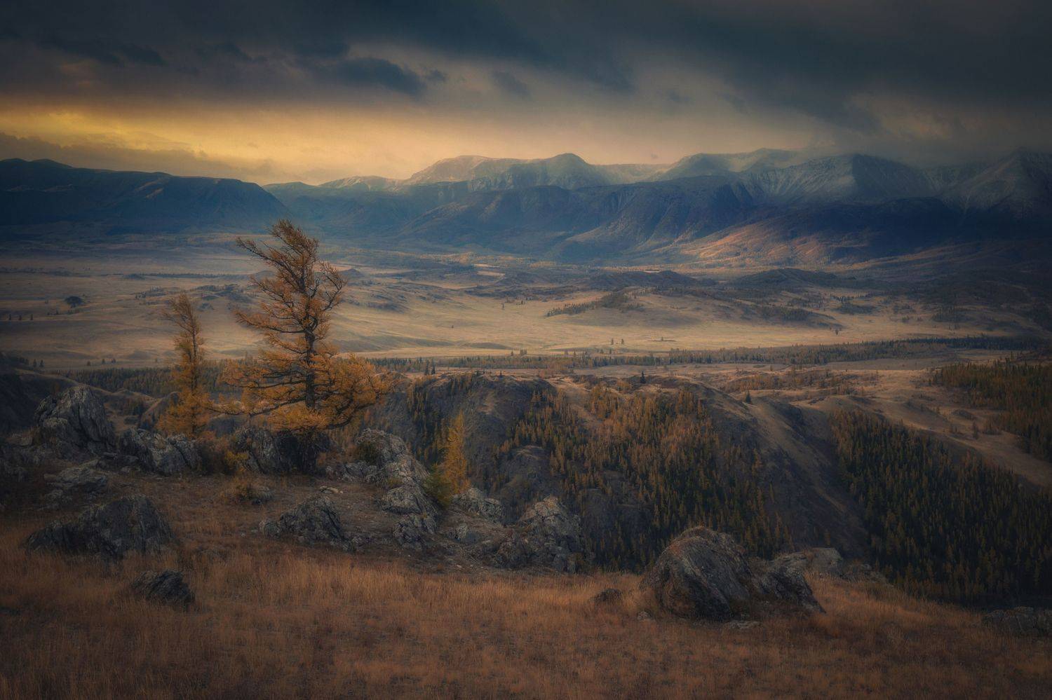 алтай,горы, Алексей Кретов