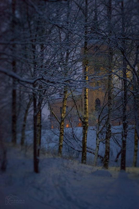 бип Замок БИП и берёзки фото превью