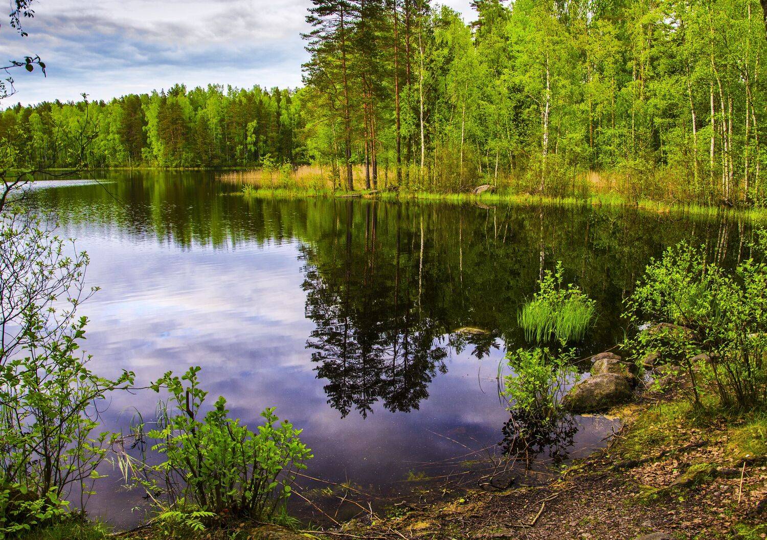 , Александр Березуцкий