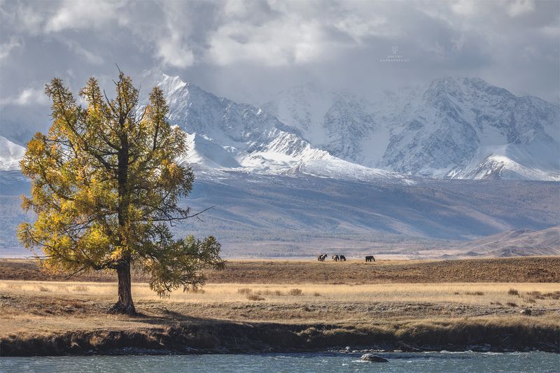 Осенняя зарисовка фото превью