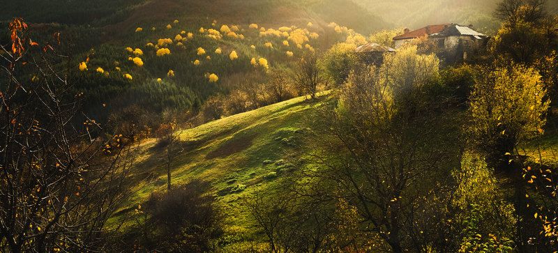 Zagrajden фото превью