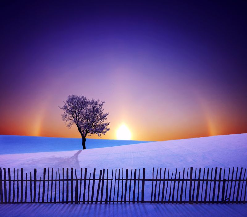 lithuania, sun, winter, snow, sun halo * фото превью